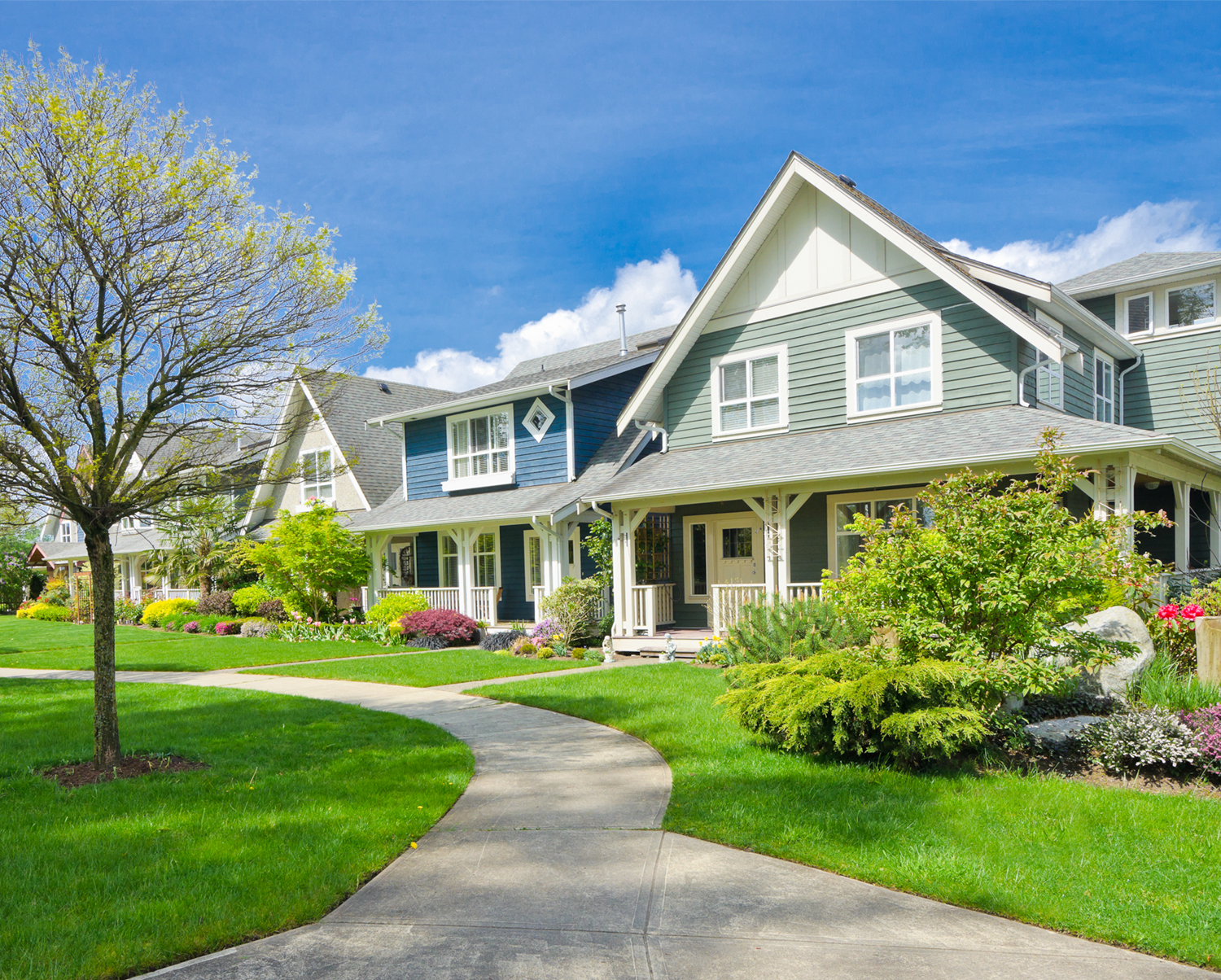 Neighborhood with winding sidewalk